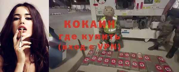 дурь Богородицк