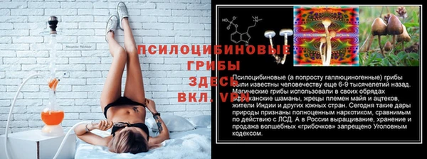 МДПВ Богородск
