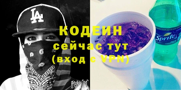 МДПВ Богородск